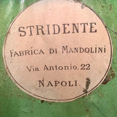 Stridente Student Model Mandolin early 1900's image 15