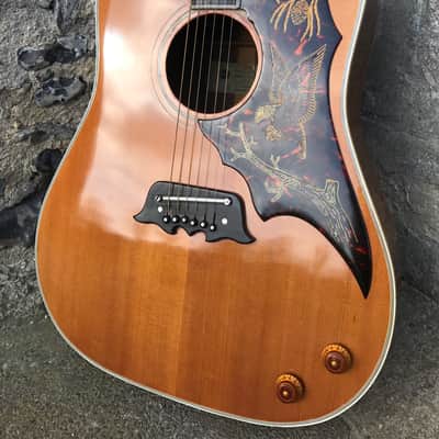 Epiphone FT-120 Excellente 1964 Natural image 2