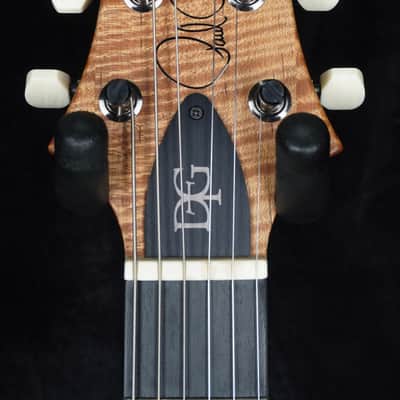 Preowned PRS Wood Library DGT Blacktop - Ash Back & Roasted Maple Neck image 8