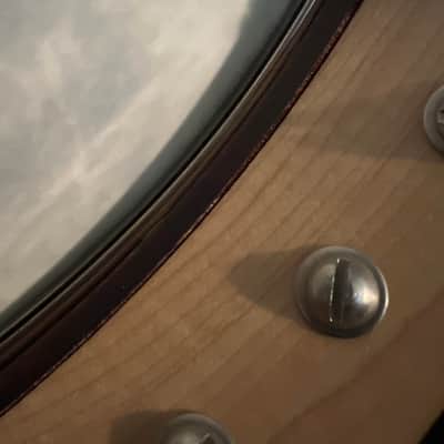 2001 Bart Reiter Regent Open Back Banjo (Whyte Laydie Tone Ring) image 12