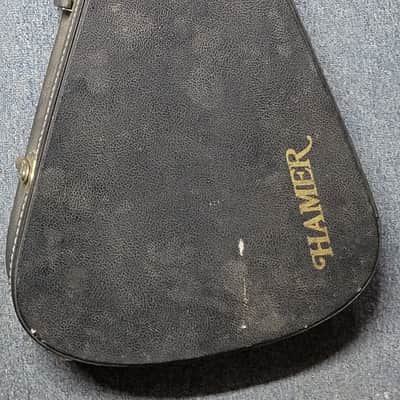 Hamer USA Flying V Guitar case image 1