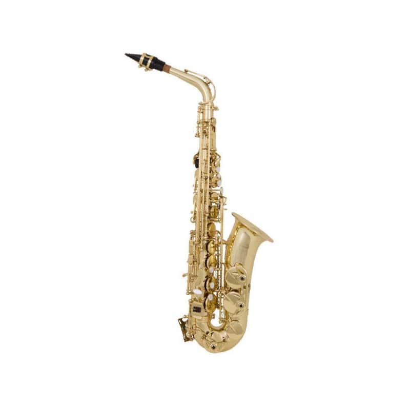 SAX CONTRALTO AMADEUS AL850 image 1