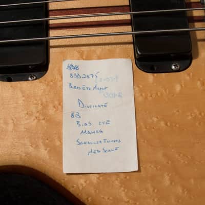 Alembic Distillate Bass 1983 Birdseye Maple and Mahogany Bild 5