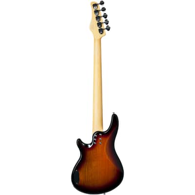 Schecter CV-5 3TS image 2