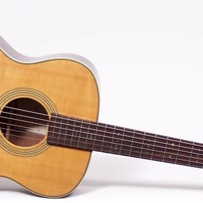 Recording King RO-16 Classic Series Acoustic Guitar Excellent! image 1