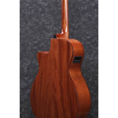 Ibanez AEG220 AEG Series Single-Cutaway Acoustic Electric Guitar, Natural Low Gloss image 4