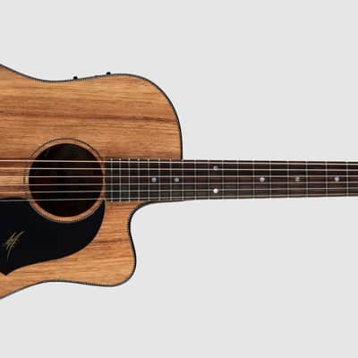 Maton Maton EBW70C - Electric/Acoustic Dreadnought Blackwood Guitar ( IN STOCK BRAND NEW IN A BOX ) image 5