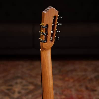 Ortega RCE133-7 Pro Solid Spruce Top Nato Neck Nylon 7-String Classical Acoustic-Electric Guitar w/Gig Bag image 23