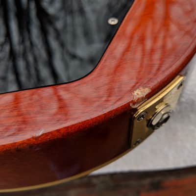 2009 Edwards Pure Material Honey Burst image 16