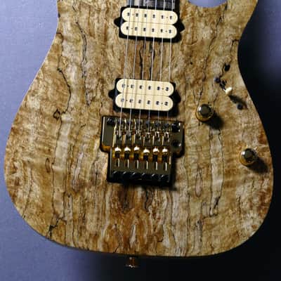 Ibanez JCRG Kurosawa Custom Order Spalted Maple 【Made In Japan】【Handcrafted by Master Builder】 image 1