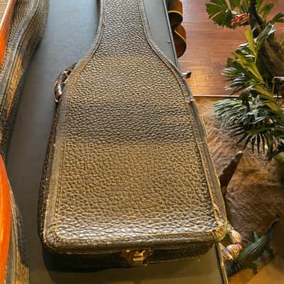 Electromuse 6 string Lap Steel Eye Beam Pickup with case image 20