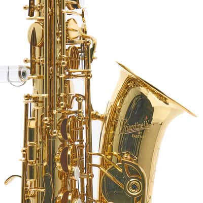 Giardinelli by Eastman GAS10 Alto Saxophone in Gold Lacquer SN 11533980 image 5