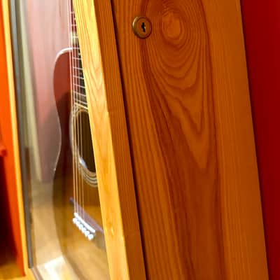 Acoustic Remedy Triangle ClimaCase image 4