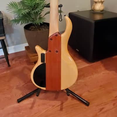 Matt Pulcinella Level 5 w/ Minor Updates. Includes Hard Case. image 2