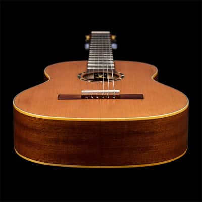Ortega R131L Family Series Pro Solid Cedar Top Mahogany Neck Nylon 6-String Classical Acoustic Guitar w/Gig Bag For Left Handed Player image 11