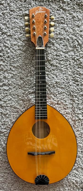 Mint Gold Tone GM-10 Frypan Acoustic Bluegrass Mandolin with Hard Case image 1