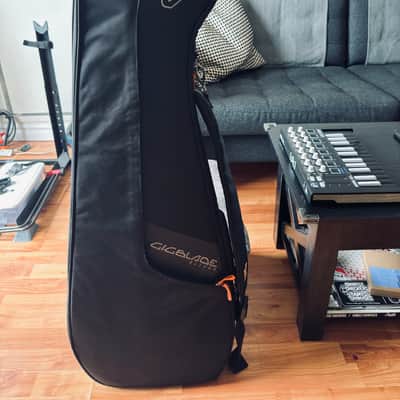 Ibanez EHB1505-MS Bass Workshop 2023 - 2024 - Pacific Blue Burst Flat image 11