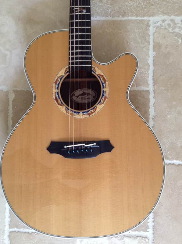 Takamine 2001 Limited Edition - Dolphin Inlay - OHSC | Reverb
