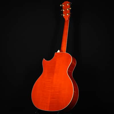 Taylor Doyle Dykes Signature Model w/ Sitka Spruce Top & Big Leaf Maple Back and Sides Acoustic/ Electric- Translucent Orange 2026 (1203066085) image 11