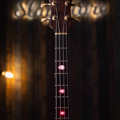 Alembic Serie II Cocobolo 1993 image 11