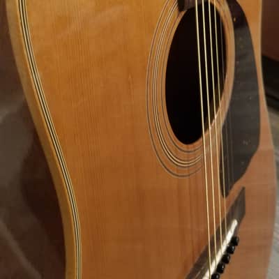 Immagine Hohner HG-905 - 4