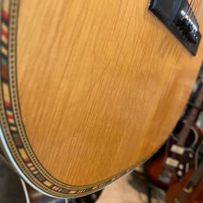 Stahl--Early 1900's--Beautiful Vintage Mojo & Plays Perfectly image 15