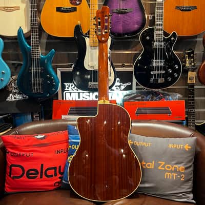 Eko NXT-N100CWE-NAT Classical with Electronics 2010s - Natural image 5