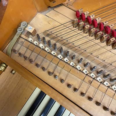 John Paul Harpsichord image 6