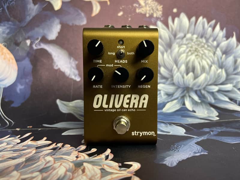 Strymon Olivera