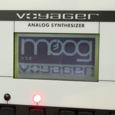 MOOG Minimoog Voyager Performer Edition V3.5 Bb Mw GOLD KNOB [3794] (08/17) image 13