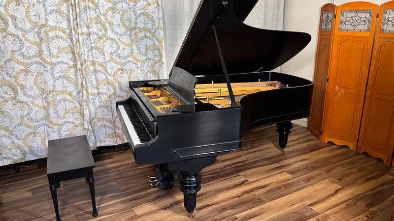 Steinway & Sons Art-Case Model C 1877 - Ebony Satin image 1