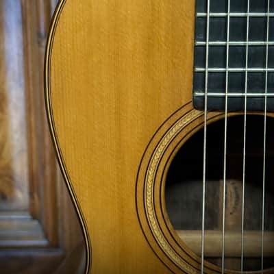 1870s Martin 2-20 Parlor Guitar, Adirondack Spruce & Brazilian RW **Neck Replaced** image 6