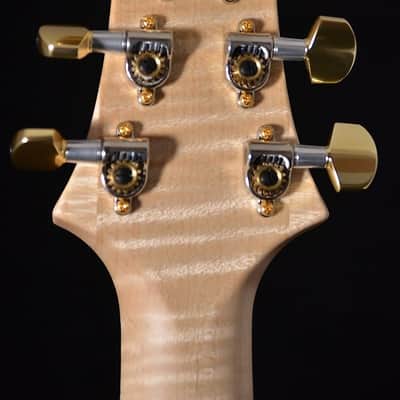 PRS Custom 24 Artist Pack - Angry Larry image 4