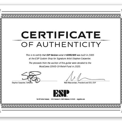 ESP Stephen Carpenter Custom Shop Guitar for Charity image 6