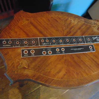 FENDER BANDMASTER 61 FACE PLATES FRONT AND REAR image 1