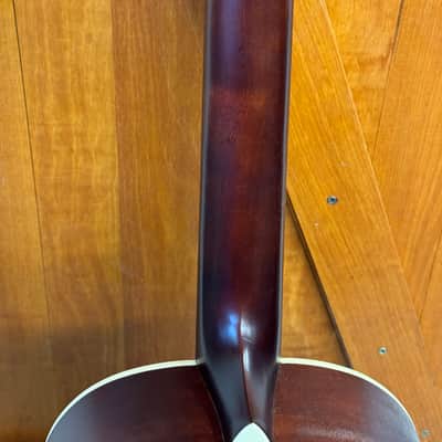 Recording King RPS-9P-TS Modified for Lap-Steel slide with pickup image 14