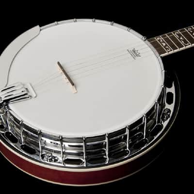 Washburn Americana Series B16K-D 5 String Banjo Sunburst image 13