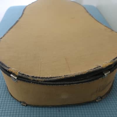 Antique Vintage 1930s Regal Parlor Guitar Project Scenic Floral Stencil Washburn Ditson Original Cloth Latch Case image 25