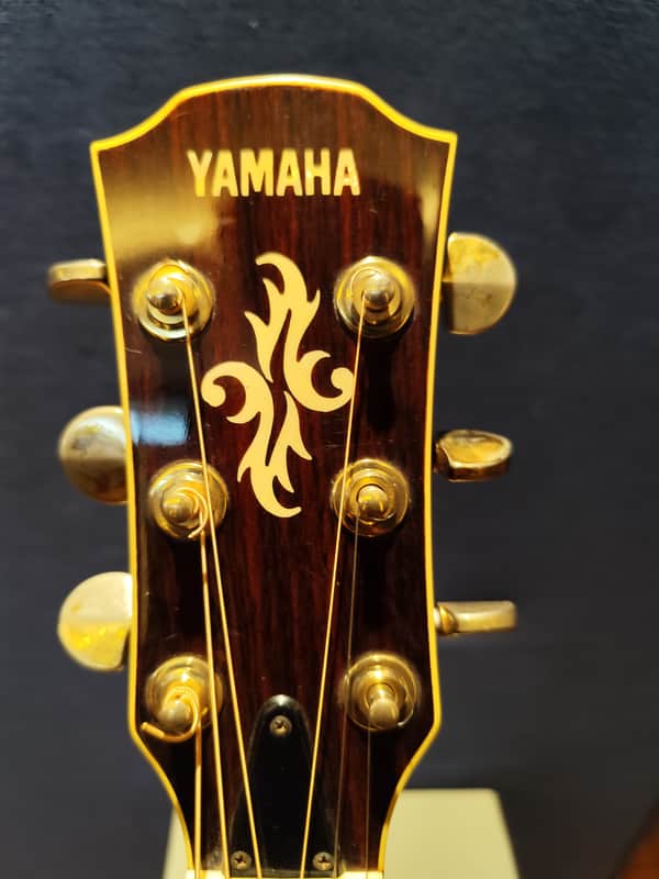 Yamaha APX-10TS Stereo Acoustic | Reverb
