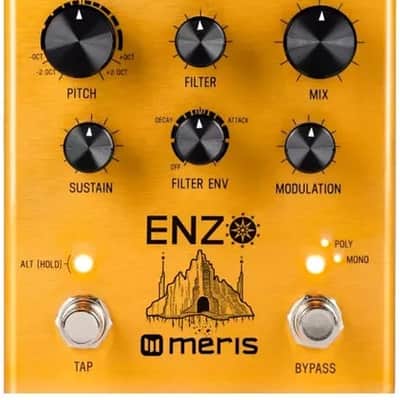 Meris Enzo Multi-Voice Instrument Synthesizer Bild 1