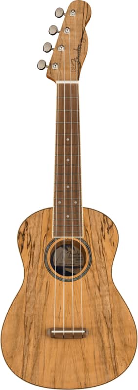 Fender Zuma Exotic Concert Ukulele Spalted Maple image 1