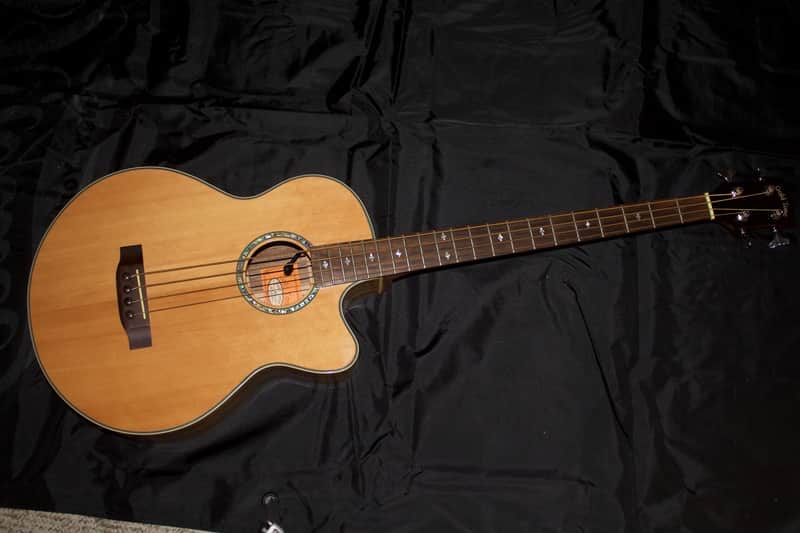 Gold Tone ABG-4 Acoustic Bass Natural Bild 1