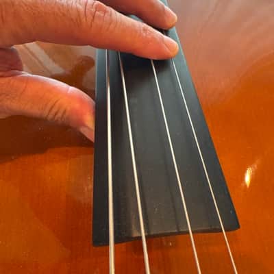 Peter Steinhaus Cello N1 1997 image 22