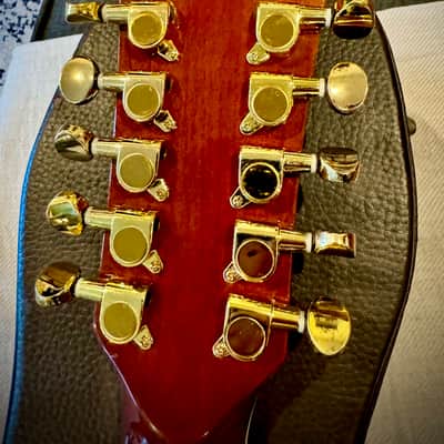 Antonio Tsai 12-String Acoustic Guitar | Incredible & Rare Custom Dragon Inlays! image 8