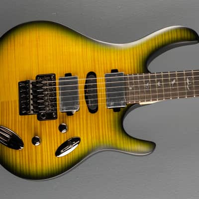 Paul Reed Smith SE Chleo, '25 image 1