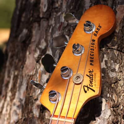 Fender Precision Bass Rosewood Fretboard 1977 | Sunburst image 4