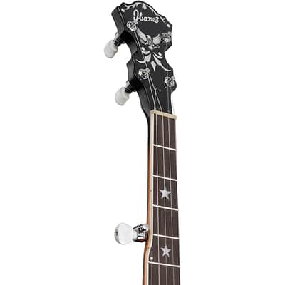 Ibanez US250 Banjo - USA 250 Anniversary Limited Edition image 4