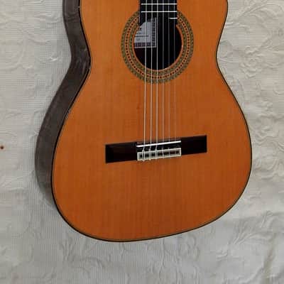 Esteve Alegria crossover cutaway / lattice braced / cedar top image 5