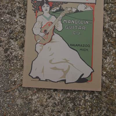 Gibson Mandolin-Guitar Co. 1905 catalog reprint image 1