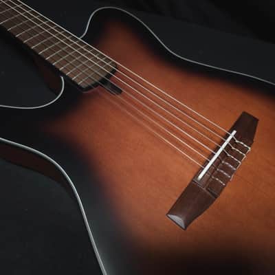 Ibanez FRH10NL Nylon-String Acoustic-Electric Left-Handed Guitar w/Non-Original Gig Bag image 12